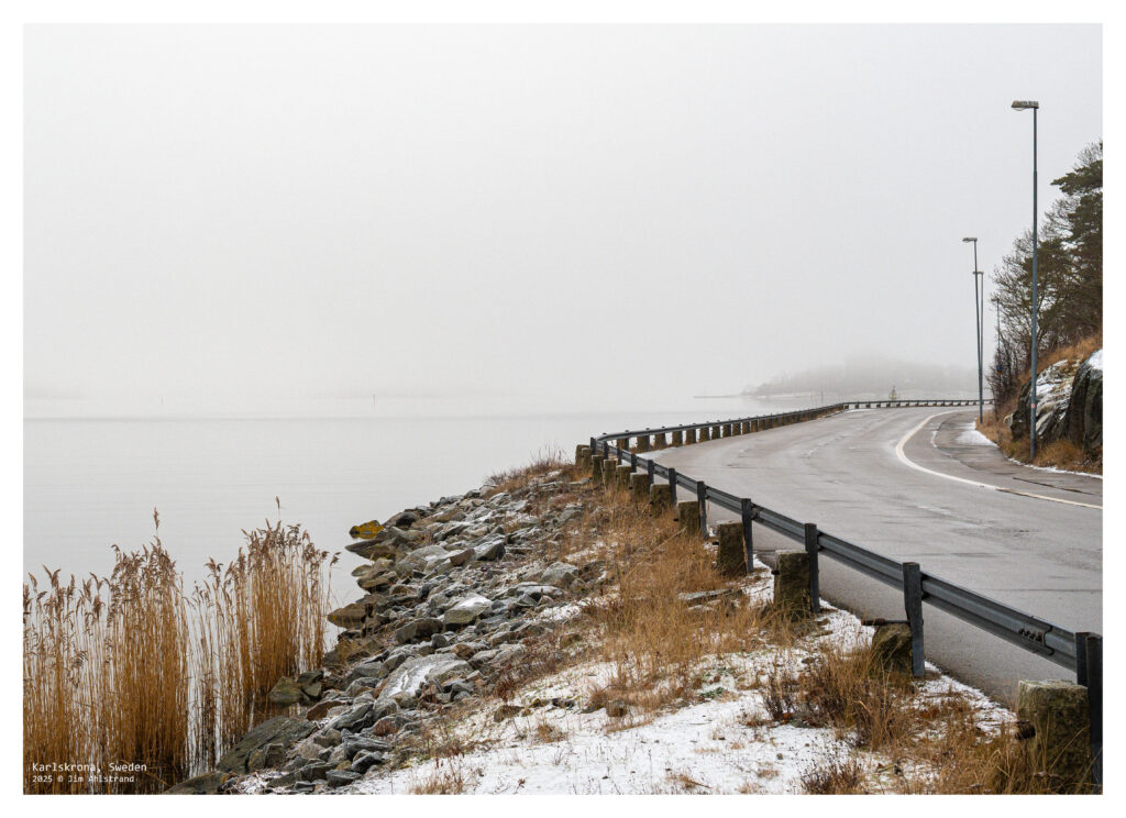 foggy road